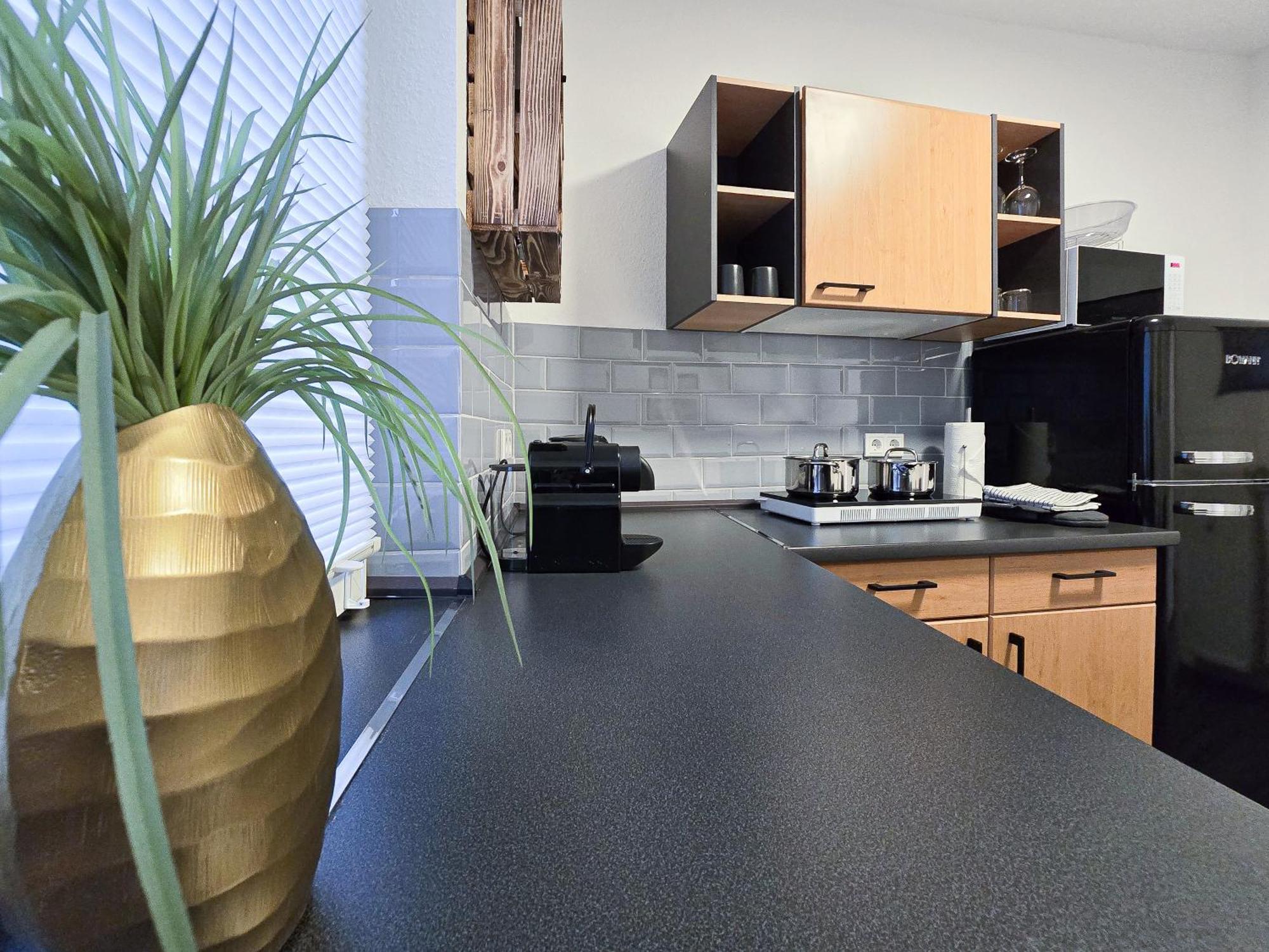 Apartment Alpha